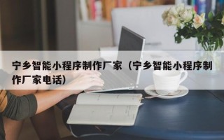 钟祥宁乡智能小程序制作厂家（宁乡智能小程序制作厂家电话）