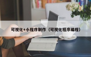 钟祥可视化+小程序制作（可视化程序编程）